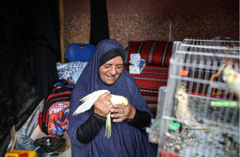 'Birds of peace' give life to Lebanese woman stuck in Khan Younis