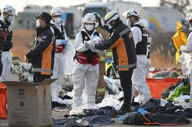 All but two feared dead after South Korea plane crashes with 181 aboard