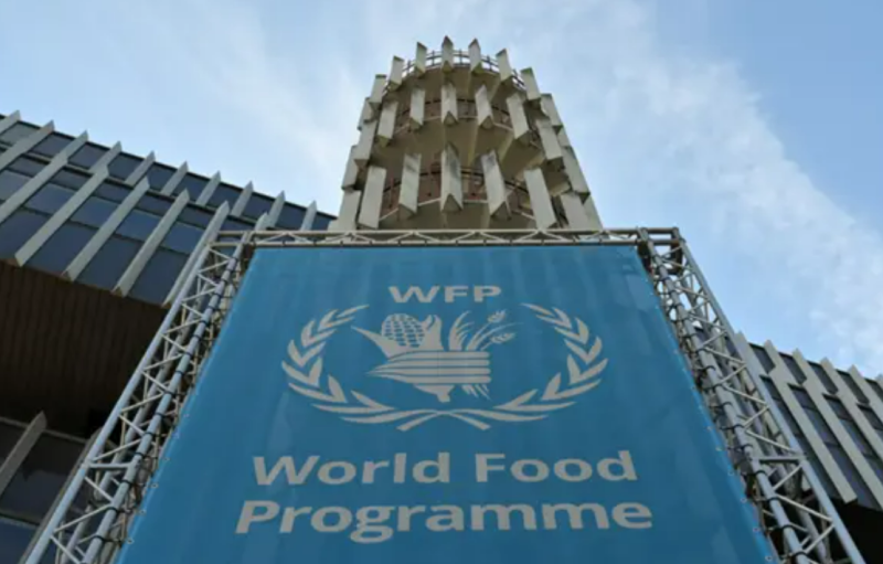 WFP says staff member died in detention in northern Yemen