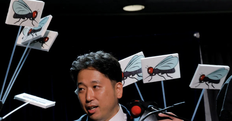 جوائز "نوبل" الساخرة تكرّم أصحاب أغرب البحوث والاختراعات