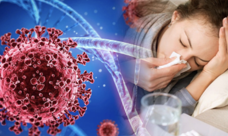 Health Minister: No New Viruses, But Seasonal Flu Spreads on the Rise