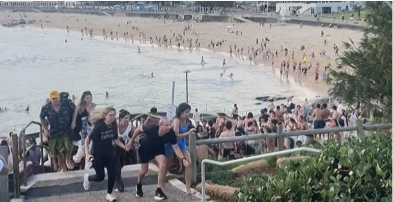 أستراليا تعلن حصيلة جديدة لعدد قتلى "هجوم الشاطئ"