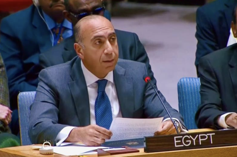 Breaching Sudan sovereignty 'red lines' threatens Egypt national security: Egypt at UNSC