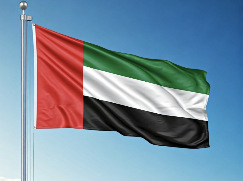 بيان دولة الإمارات بشأن الأحداث الجارية في اليمن