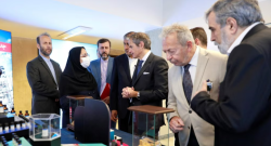 Iran's Parliament Votes To Suspend Cooperation With UN Nuclear Watchdog
