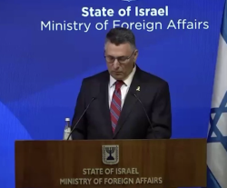 Foreign Minister bemoans 'distorted campaign of international pressure against Israel'
