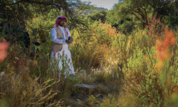 Placing nature-based solutions at the heart of climate action