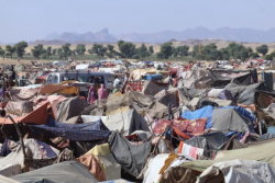 EU Parliament warns violence in Sudan might constitute genocide