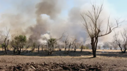 اشتداد القتال شمالي كردفان.. و"بابنوسة" ساحة معركة كبرى