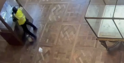 Footage of the Louvre Heist Revealed: Shocking 4 Minutes