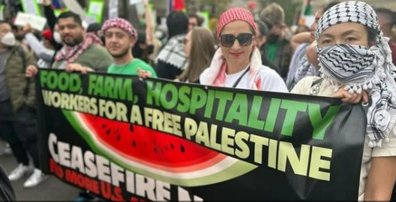 « Ils l’ont volé à la Palestine… » Une pétition américaine pour boycotter la « cuisine israélienne »