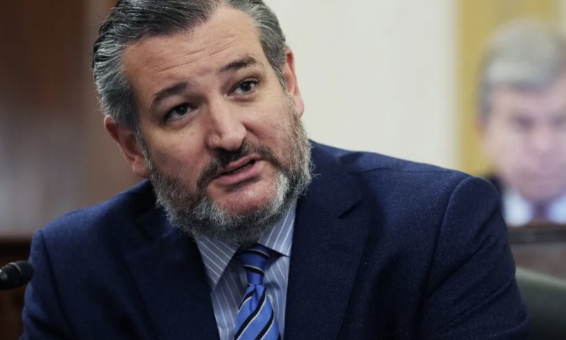 Ted Cruz aims to label the Muslim Brotherhood a terrorist organization