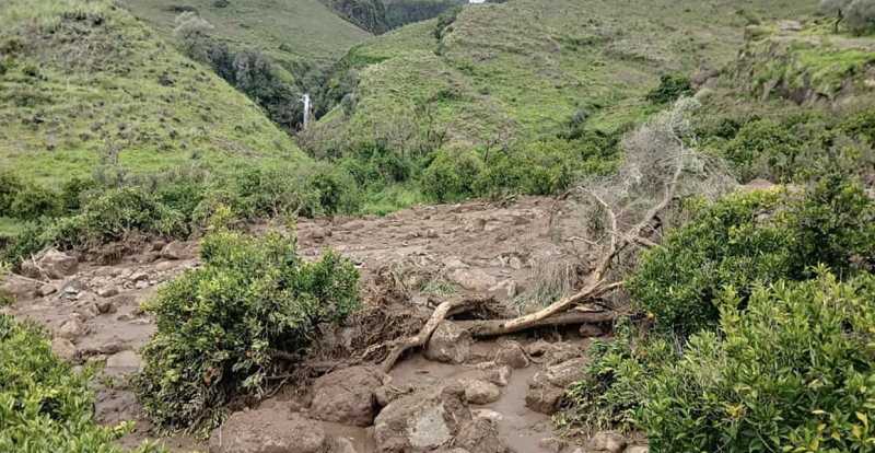 السودان.. انتشال 5 جثث من جبل مرة وصعوبات تعترض الإغاثة