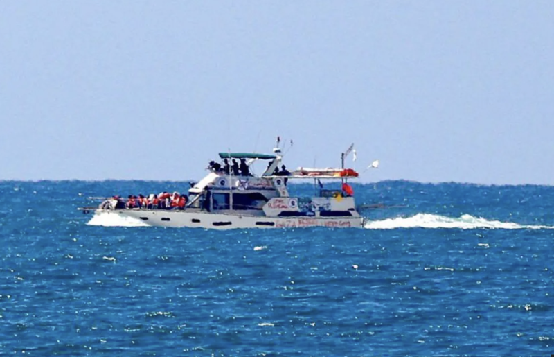 Four Gaza flotilla activists deported by Israel