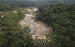 13 Workers Kidnapped in Peru Found Dead at Peruvian Gold Mine