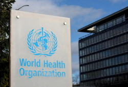 UN: Dengue Fever Outbreak in Yemen Threatens Thousands of Residents