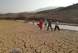 Middle East’s critical reminder on desertification