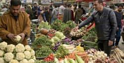 كيف تؤثر الرسوم الجمركية على أسعار الغذاء حول العالم؟
