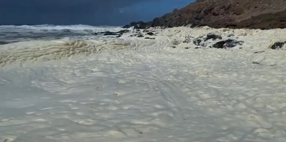 Toxic foam and dead fish wash ashore at 2 Australian beaches as surfers fall sick