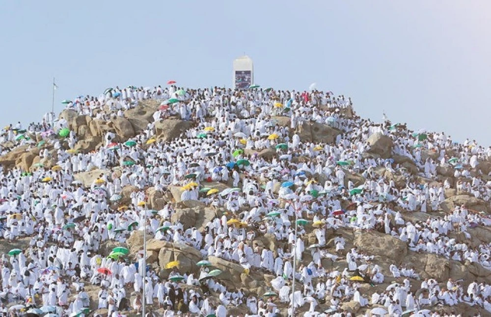 Muslim pilgrims pray at Mount Arafat in Hajj apex
