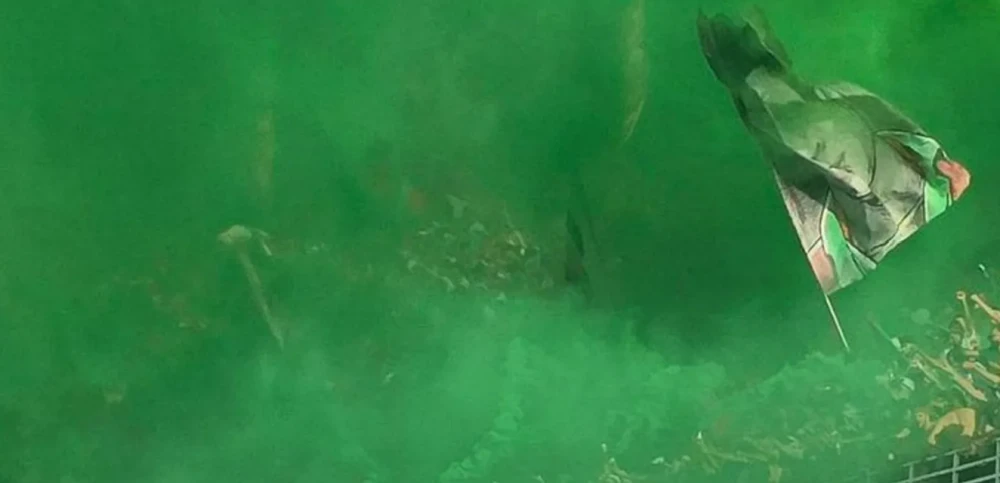 Three fans die in Algeria football stadium fall