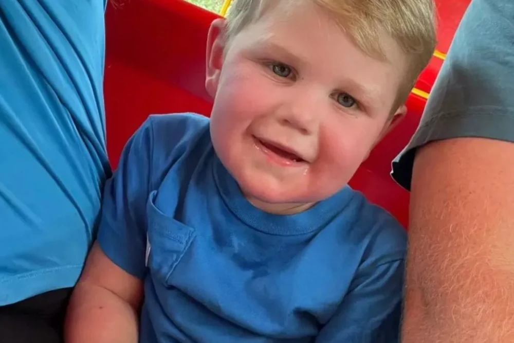 Boy, 2, fighting for life after being stung more than 150 times by wasps