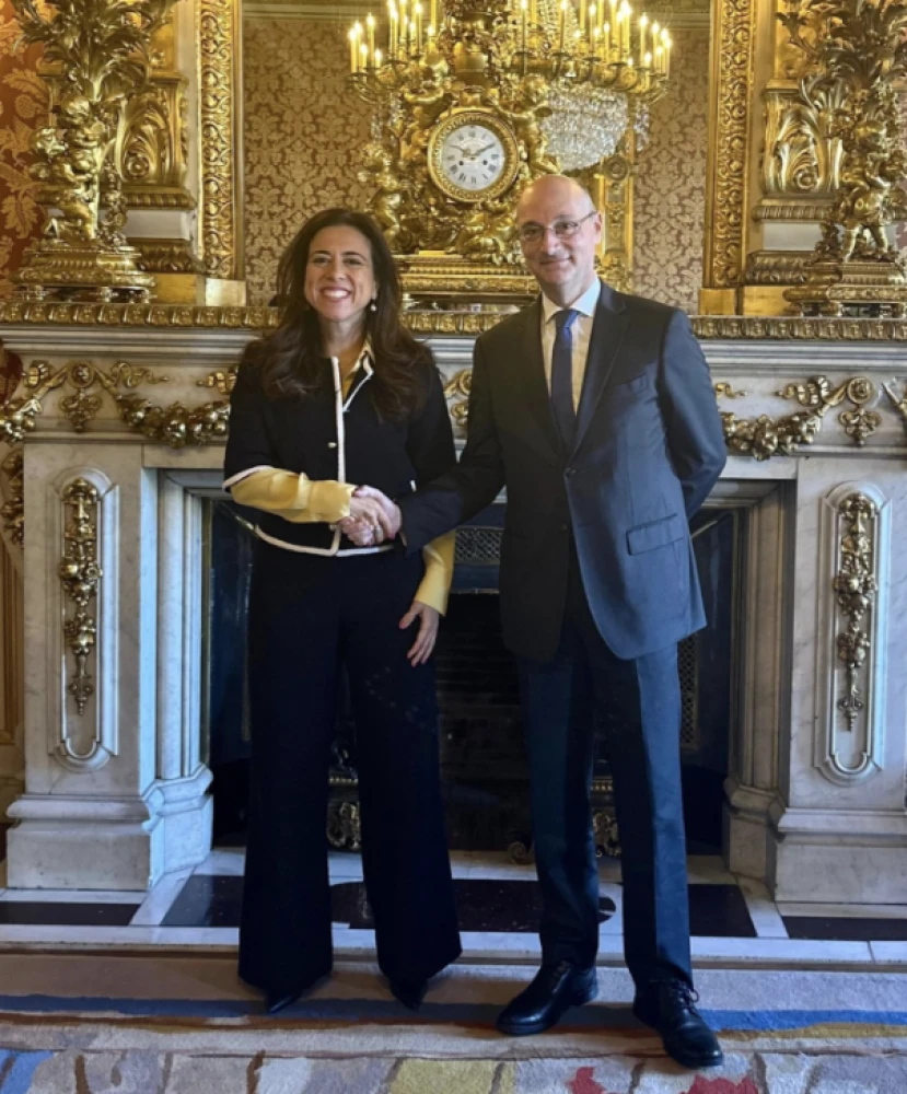 UAE, France hold political consultations