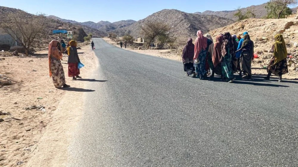 IOM Reports Sharp Decline in Internal Displacement Across Yemen