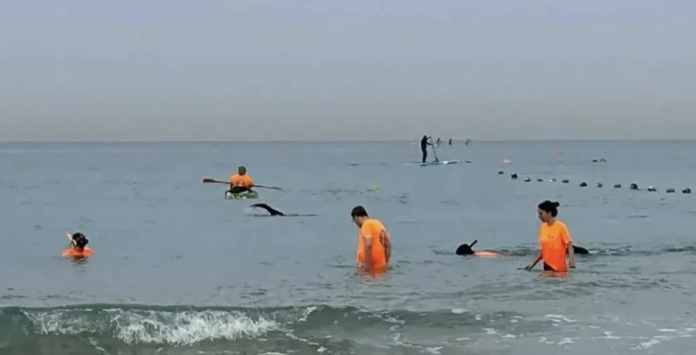 حتى في البحر.. إسرائيل تبحث عن "الهاتف المفقود"