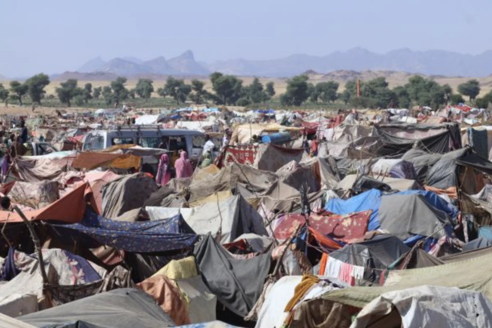 EU Parliament warns violence in Sudan might constitute genocide